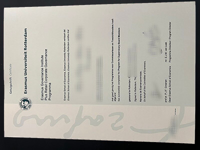 Make Erasmus Universiteit Rotterdam diploma