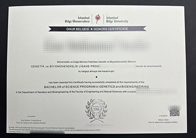 Istanbul Bilgi University diploma