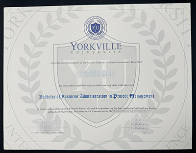 Make Yorkville University diploma
