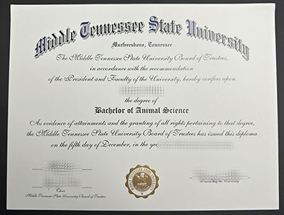 order Middle Tennessee State University diploma